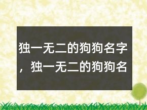 獨(dú)一無二的狗狗名字，獨(dú)一無二的狗狗名字200條