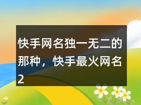快手網(wǎng)名獨(dú)一無二的那種，快手最火網(wǎng)名208條