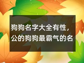 狗狗名字大全有性，公的狗狗最霸氣的名字226條