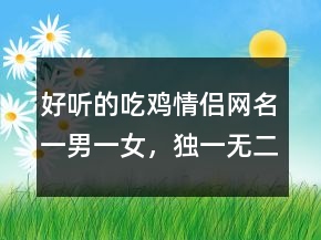 好聽(tīng)的吃雞情侶網(wǎng)名一男一女，獨(dú)一無(wú)二的吃雞情侶名217條