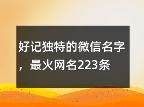 好記獨(dú)特的微信名字，最火網(wǎng)名223條