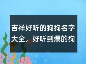 吉祥好聽的狗狗名字大全，好聽到爆的狗狗名字205條