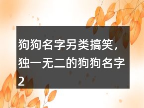 狗狗名字另類搞笑，獨(dú)一無二的狗狗名字200條