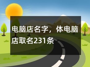 電腦店名字，體電腦店取名231條