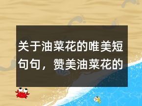關于油菜花的唯美短句句，贊美油菜花的短句242條