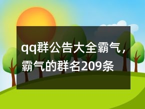 qq群公告大全霸氣，霸氣的群名209條