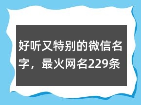 好聽又特別的微信名字，最火網(wǎng)名229條
