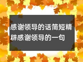 感謝領(lǐng)導的話簡短精辟感謝領(lǐng)導的一句話暖心225條