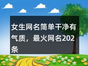 女生網(wǎng)名簡單干凈有氣質(zhì)，最火網(wǎng)名202條