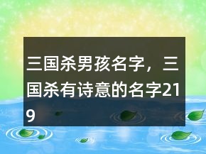 三國殺男孩名字，三國殺有詩意的名字219條