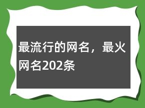 最流行的網(wǎng)名，最火網(wǎng)名202條