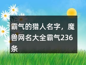 霸氣的獵人名字，魔獸網(wǎng)名大全霸氣236條