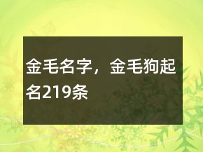 金毛名字，金毛狗起名219條