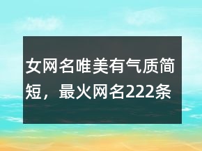 女網(wǎng)名唯美有氣質(zhì)簡(jiǎn)短，最火網(wǎng)名222條