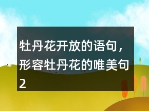 牡丹花開放的語句，形容牡丹花的唯美句245條