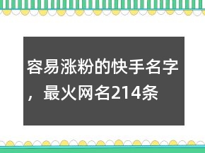 容易漲粉的快手名字，最火網(wǎng)名214條