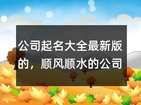 公司起名大全最新版的，順風(fēng)順?biāo)墓久?07條