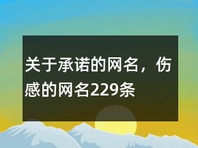 關(guān)于承諾的網(wǎng)名，傷感的網(wǎng)名229條