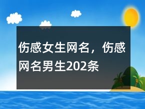 傷感女生網(wǎng)名，傷感網(wǎng)名男生202條