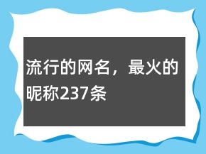 流行的網(wǎng)名，最火的昵稱237條