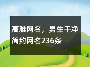 高雅網(wǎng)名，男生干凈簡(jiǎn)約網(wǎng)名236條
