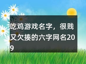 吃雞游戲名字，很賤又欠揍的六字網(wǎng)名209條