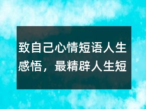 致自己心情短語人生感悟，最精辟人生短句233條