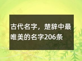 古代名字，楚辭中最唯美的名字206條