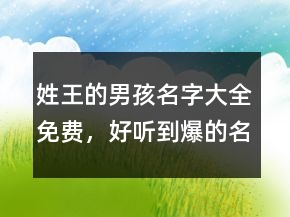 姓王的男孩名字大全免費(fèi)，好聽到爆的名字204條