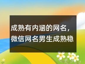 成熟有內(nèi)涵的網(wǎng)名，微信網(wǎng)名男生成熟穩(wěn)重208條