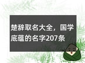 楚辭取名大全，國學底蘊的名字207條