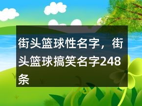 街頭籃球性名字，街頭籃球搞笑名字248條