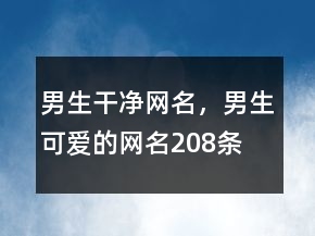 男生干凈網(wǎng)名，男生可愛的網(wǎng)名208條