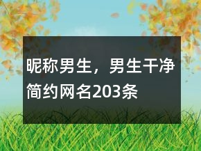 昵稱男生，男生干凈簡約網(wǎng)名203條