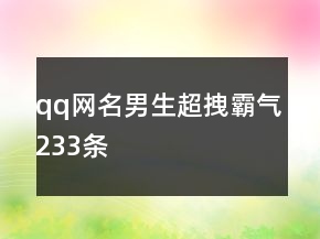 qq網(wǎng)名男生超拽霸氣233條