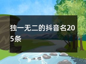 獨(dú)一無二的抖音名205條