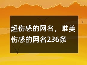 超傷感的網(wǎng)名，唯美傷感的網(wǎng)名236條