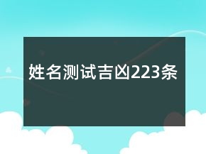 姓名測試吉兇223條