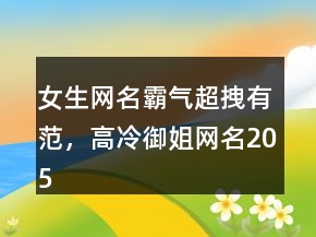 女生網(wǎng)名霸氣超拽有范，高冷御姐網(wǎng)名205條
