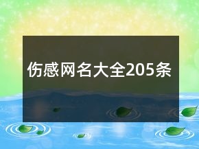 傷感網(wǎng)名大全205條