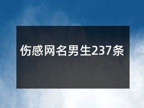 傷感網(wǎng)名男生237條