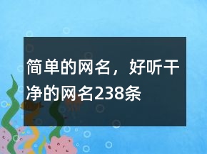 簡單的網(wǎng)名，好聽干凈的網(wǎng)名238條