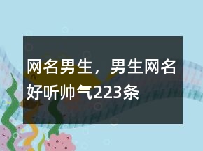 網(wǎng)名男生，男生網(wǎng)名好聽帥氣223條