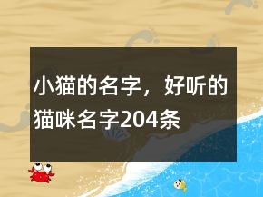 小貓的名字，好聽(tīng)的貓咪名字204條