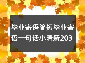 畢業(yè)寄語(yǔ)簡(jiǎn)短畢業(yè)寄語(yǔ)一句話小清新203條