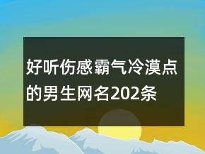 好聽傷感霸氣冷漠點的男生網(wǎng)名202條