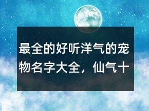 最全的好聽洋氣的寵物名字大全，仙氣十足的寵物名字209條
