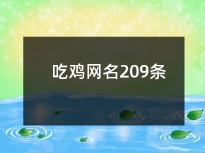 吃雞網(wǎng)名209條