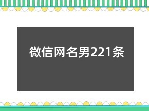 微信網(wǎng)名男221條
