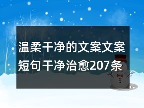溫柔干凈的文案文案短句干凈治愈207條
